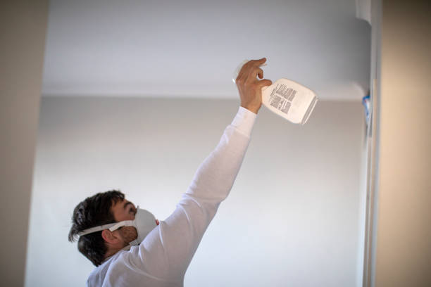 Professional Mold Removal in Great Falls, MT