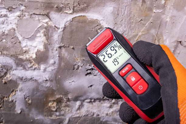 Best Mold Damage Repair  in Great Falls, MT